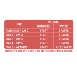 NutriBird A19 - Ảnh 6