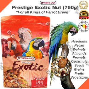 Exotic Parrots Nuts 750gr - Ảnh 2