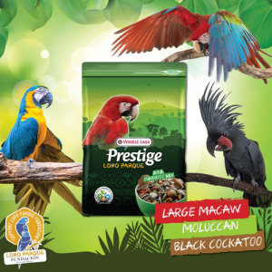 Loro Parque Ara Parrot Mix 2kg - Ảnh 3