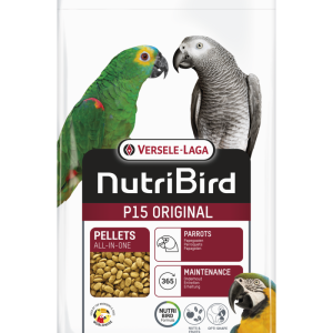 P15 Original