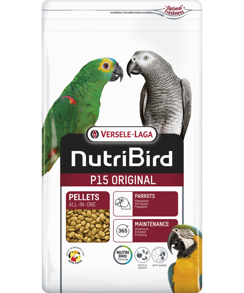 P15 Original