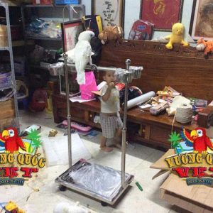 Cầu Đứng Inox Cho Vẹt Lớn - Ảnh 7