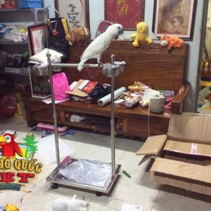 Cầu Đứng Inox Cho Vẹt Lớn - Ảnh 5