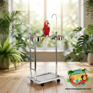 Cầu Đứng Inox Cho Vẹt Macaw - Ảnh 2