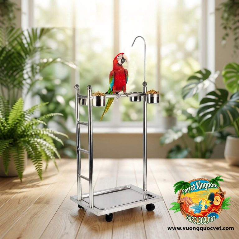 Cầu đứng inox cho vẹt macaw