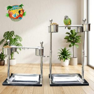 cầu đứng inox cho vẹt mjpr