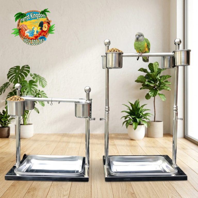 cầu đứng inox cho vẹt mjpr