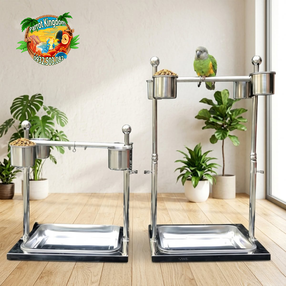 cầu đứng inox cho vẹt mjpr