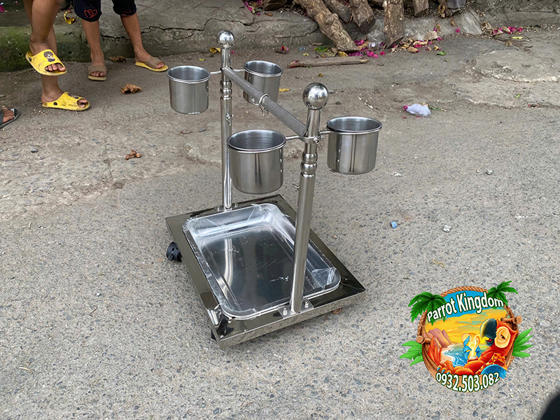 CẦU ĐỨNG INOX CAO CẤP CHO VẸT NHỎ - Ảnh 13