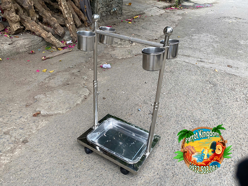 CẦU ĐỨNG INOX CAO CẤP CHO VẸT NHỎ - Ảnh 6