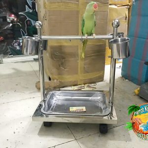 CẦU ĐỨNG INOX CAO CẤP CHO VẸT NHỎ - Ảnh 4