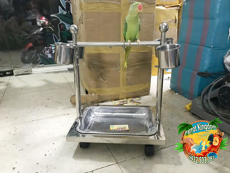 CẦU ĐỨNG INOX CAO CẤP CHO VẸT NHỎ - Ảnh 4