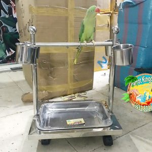 CẦU ĐỨNG INOX CAO CẤP CHO VẸT NHỎ - Ảnh 3