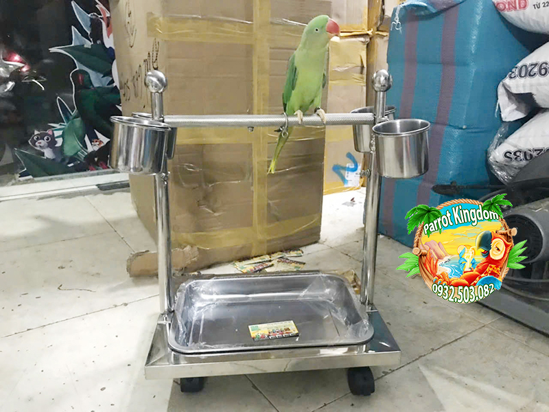 CẦU ĐỨNG INOX CAO CẤP CHO VẸT NHỎ - Ảnh 3