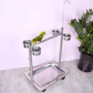 Cầu Đứng Inox Cho Vẹt Lớn - Ảnh 10