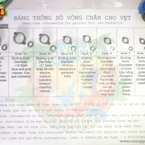 Vòng inox đeo chân vẹt - Ảnh 4