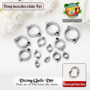 Vòng inox đeo chân vẹt