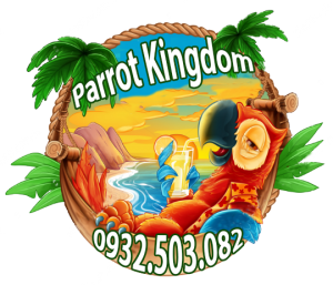 Parrot Kingdom
