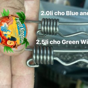 Dây xích chân vẹt Green Winged Macaw - Ảnh 2