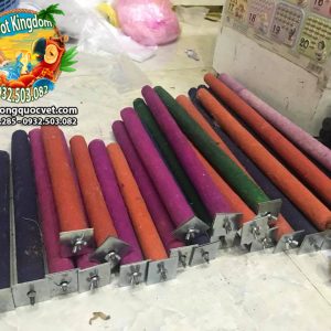 CẦU ĐẬU MÀI MÓNG CHO VẸT MACAW - AMAZON - XÁM CHÂU PHI - Ảnh 7