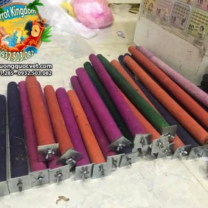 CẦU ĐẬU MÀI MÓNG CHO VẸT MACAW - AMAZON - XÁM CHÂU PHI - Ảnh 6