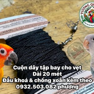 Dây Tập Bay Cho Vẹt Nhỏ Dài 20 Mét – An Toàn, Tiện Lợi Cho Chim Cưng - Ảnh 2