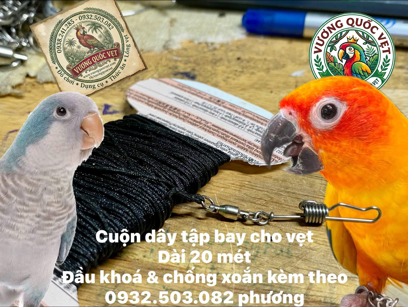Dây Tập Bay Cho Vẹt Nhỏ Dài 20 Mét – An Toàn, Tiện Lợi Cho Chim Cưng