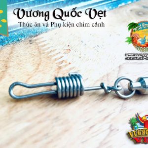 Dây xích chân vẹt Blue and gold Macaw - Ảnh 3