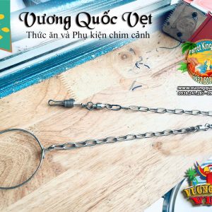 Dây xích chân vẹt Blue and gold Macaw - Ảnh 2