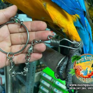 Dây Xích Chân Vẹt Macaw Sợi Ngắn Đứng Cầu - Ảnh 7