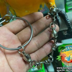 Dây Xích Chân Vẹt Macaw Sợi Ngắn Đứng Cầu - Ảnh 6