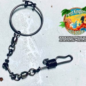 Dây Xích Chân Vẹt Macaw Sợi Ngắn Đứng Cầu - Ảnh 5