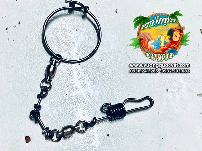 Dây Xích Chân Vẹt Macaw Sợi Ngắn Đứng Cầu - Ảnh 5