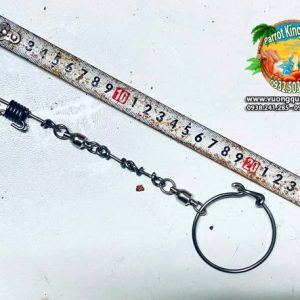 Dây Xích Chân Vẹt Macaw Sợi Ngắn Đứng Cầu - Ảnh 3