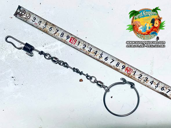 Dây Xích Chân Vẹt Macaw Sợi Ngắn Đứng Cầu - Ảnh 3
