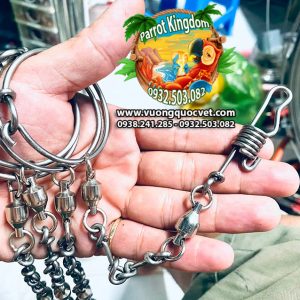 Dây Xích Chân Vẹt Macaw Sợi Ngắn Đứng Cầu - Ảnh 2
