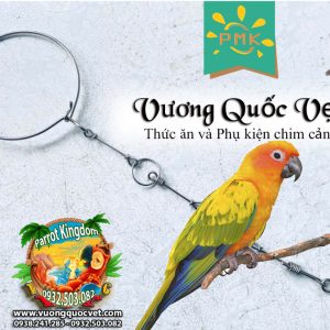 Dây Xích Chân Vẹt Sun Conure 1.1li inox chắc chắn
