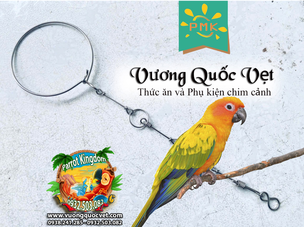 Dây Xích Chân Vẹt Sun Conure 1.1li inox chắc chắn