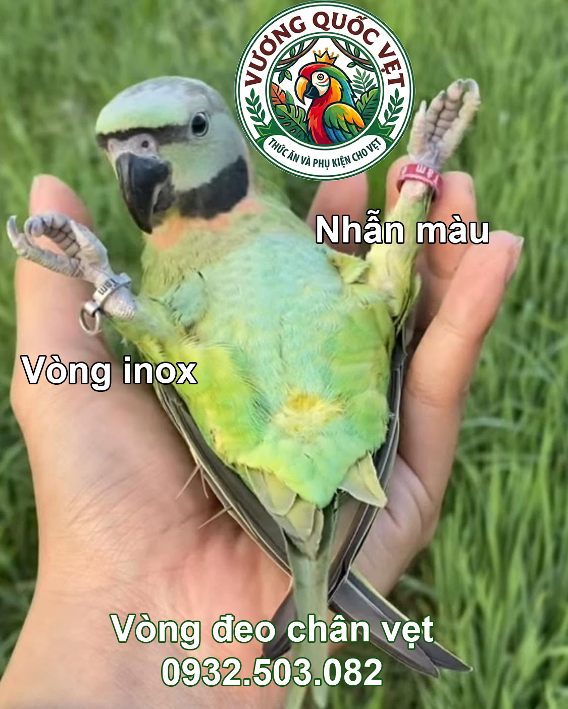 VÒNG INOX ĐEO CHÂN VẸT NGỰC HỒNG (SIZE 7) - Ảnh 2