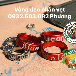 Vòng Đeo Chân Vẹt Cockatiel - Phụ Kiện Định Danh Hoàn Hảo - Ảnh 3