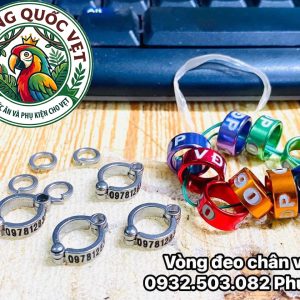 VÒNG INOX ĐEO CHÂN VẸT NGỰC HỒNG (SIZE 7) - Ảnh 4