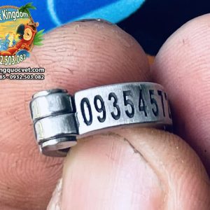 Vòng inox đeo chân vẹt xám châu phi - Ảnh 14