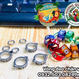 Phụ Kiện Xích Chân Vẹt Inox Cao Cấp – An Toàn, Chống Xoắn, Dễ Sử Dụng
