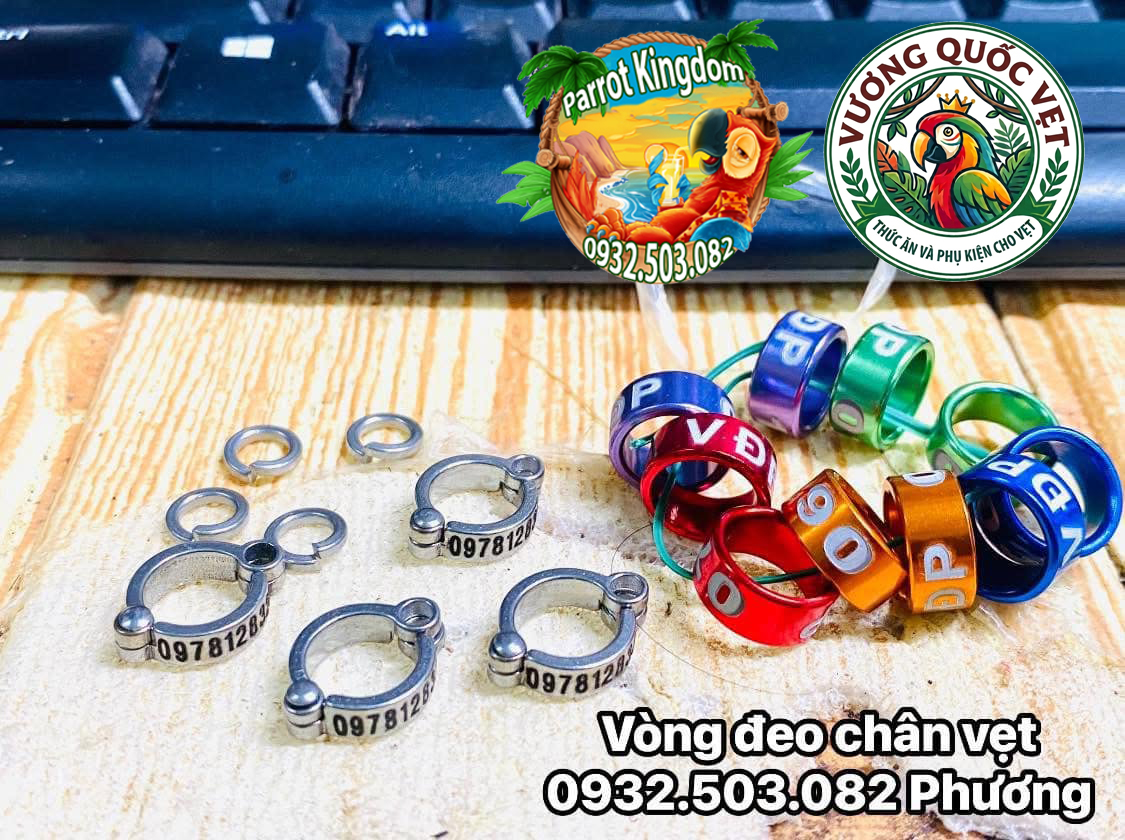 Phụ Kiện Xích Chân Vẹt Inox Cao Cấp – An Toàn, Chống Xoắn, Dễ Sử Dụng