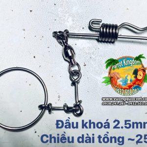 Dây xích chân vẹt Green Winged Macaw - Ảnh 6