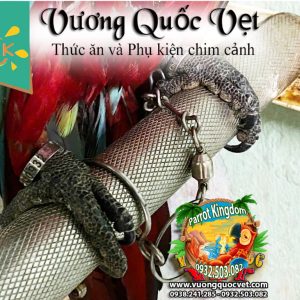Xích chân Vẹt Macaw kiểu mới - Ảnh 2