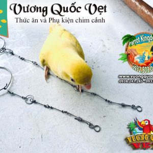 Dây Xích Chân Vẹt Ringneck 1.1li inox chắc chắn - Ảnh 10