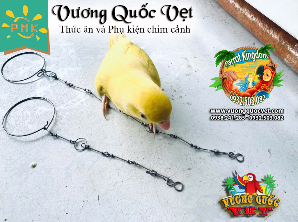 Dây Xích Chân Vẹt Ringneck 1.1li inox chắc chắn - Ảnh 10