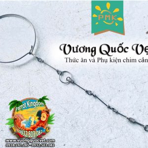 Dây Xích Chân Vẹt Ringneck 1.1li inox chắc chắn - Ảnh 8