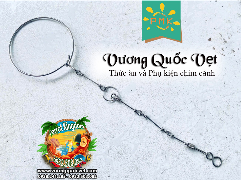 Dây Xích Chân Vẹt Ringneck 1.1li inox chắc chắn - Ảnh 8